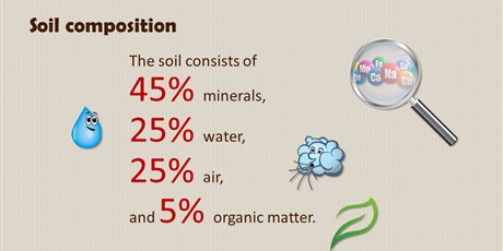 Powiększ grafikę: soil-presentation-477076.jpg