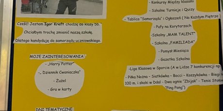 Powiększ grafikę: Program wyborczy kandydata.