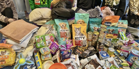 Powiększ grafikę: Grupa dzieci pozuje do zdjęcia. Przed nimi na podłodze leżą karmy i inne akcesoria dla bezdomnych zwierząt.