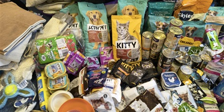 Powiększ grafikę: Na dywanie leżą karmy i inne akcesoria dla bezdomnych zwierząt.