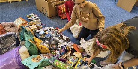 Powiększ grafikę: Trzy dziewczynki pakują do kartonów i siatek karmy i inne akcesoria dla bezdomnych zwierząt.