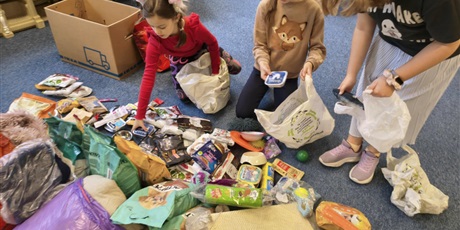 Powiększ grafikę: Trzy dziewczynki pakują do kartonów i siatek karmy i inne akcesoria dla bezdomnych zwierząt.