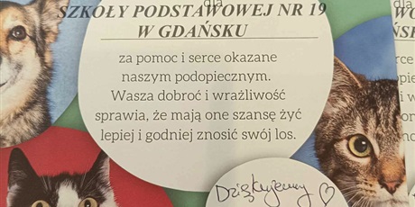 Powiększ grafikę: swietlica-wspiera-zwierzeta-ze-schroniska-promyk-528867.jpg