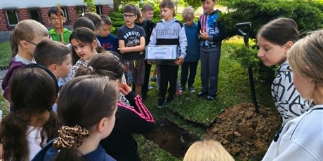 Powiększ grafikę: Grupa dzieci stoi na trawniku. Obok znajduje się wykonany dół i łopata.