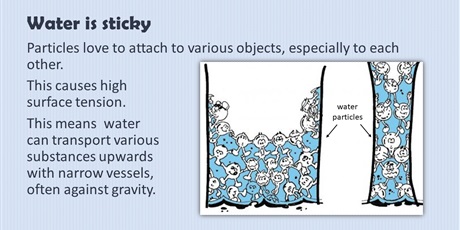 Powiększ grafikę: water-presentation-421616.jpg