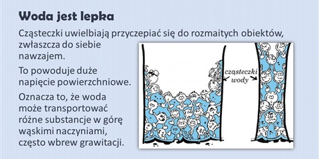 Powiększ grafikę: woda-prezentacja-421597.jpg