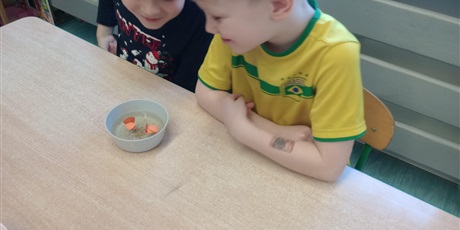 Powiększ grafikę: wodne-warsztaty-w-zerowkach-670195.jpg