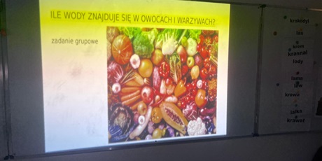 Powiększ grafikę: wodne-warsztaty-w-zerowkach-670197.jpg