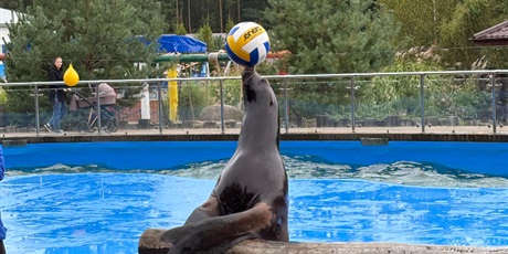 Wycieczka integracyjna do  „Sea Park” w Sarbsku