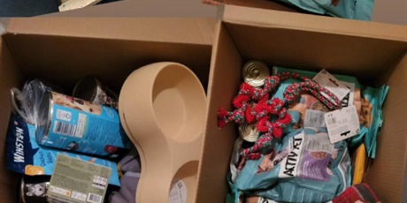 Zbiórka darów dla bezdomnych zwierząt